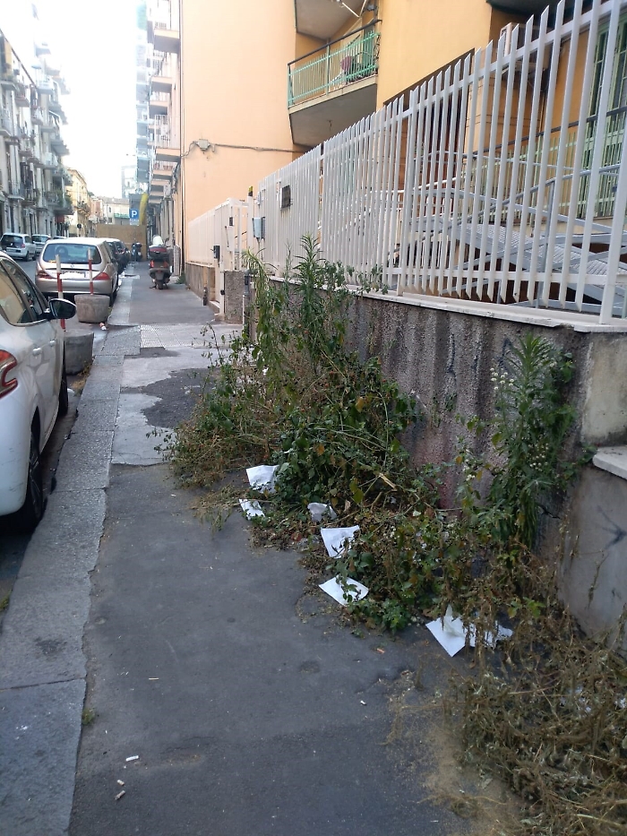 Catania: "Via Napoli non è una giungla"