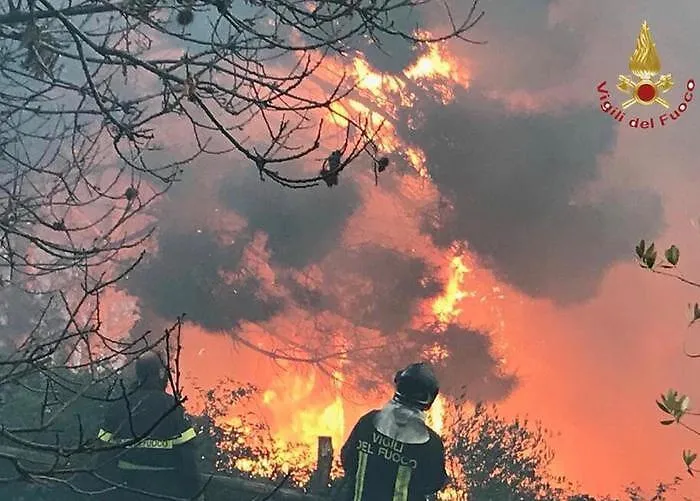 Allarme roghi, fiamme da Altofonte a Marineo, Corleone e bosco della Ficuzza