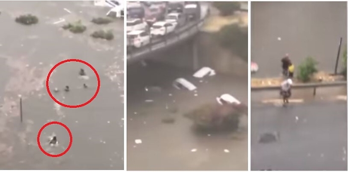 Palermo, il giallo dei due dispersi
Vigili del fuoco al lavoro nel sottopasso