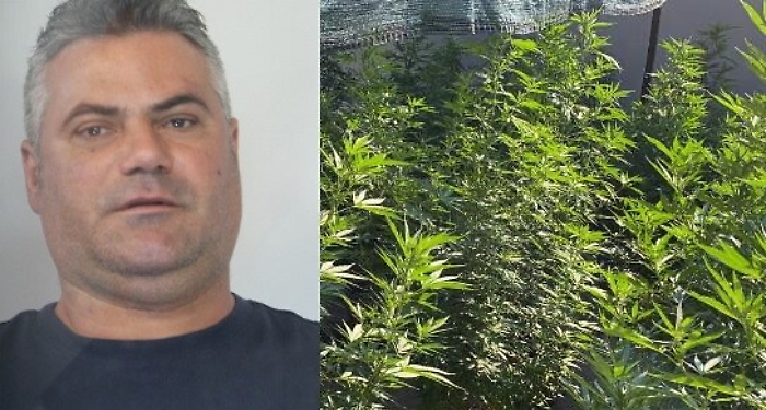 Catania, i "Falchi" scovano piantagione di marijuana a S. Nullo