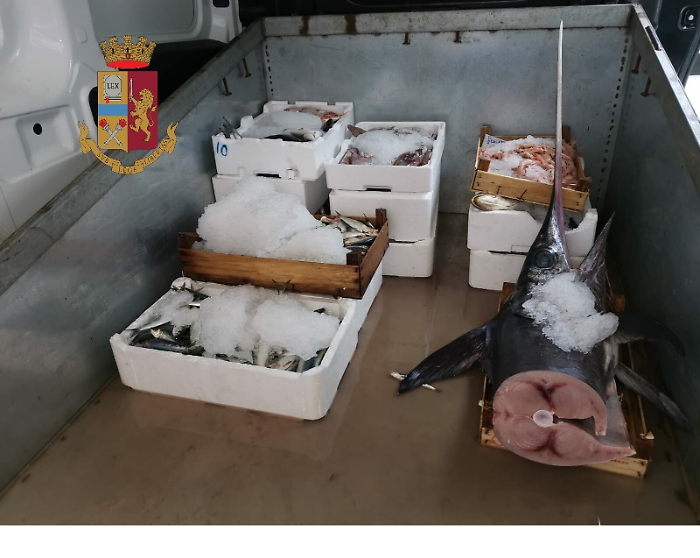 Vendita abusiva, sequestrati 70 chili di pesce alla Vucciria