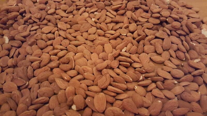 Le mandorle bio non erano tracciabili, bloccate 98 tonnellate a Ragusa