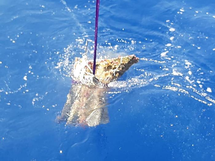Recuperato nei fondali di Levanzo un antico rostro che fu scoperto dall'archeologo Tusa