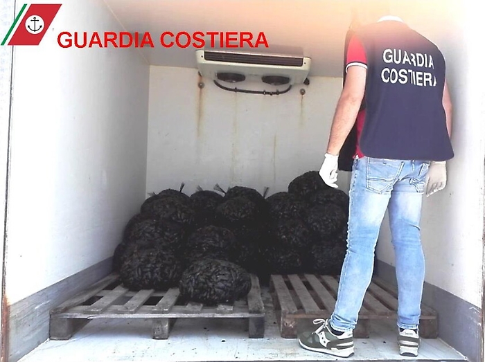 Fermato a Taranto carico di cozze con etichette false destinato alle tavole siciliane