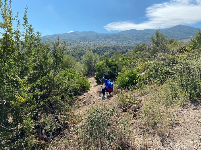 Gioele e quel corpicino che non si trovava
In campo i legali del caso di Sarah Scazzi