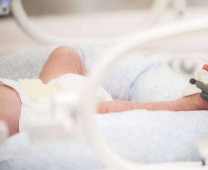 Neonati uccisi da batterio killer, a Verona riapre reparto