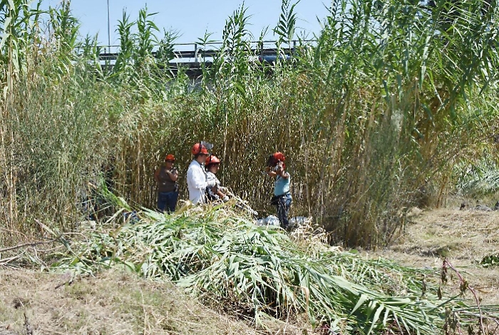 1600197533606_1618404511035-1