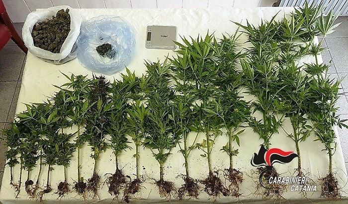 Maniace, la droga nascosta nella cassaforte: denunciato