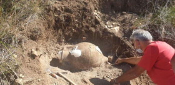 Anfora tombale trovata nel Palermitano