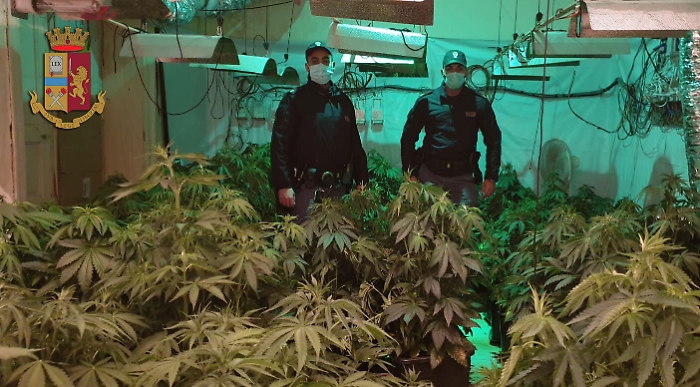 Palermo, serra indoor scoperta in casa a Boccadifalco: tre arresti