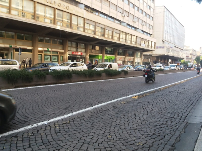 Catania: furto di piante al Corso Sicilia