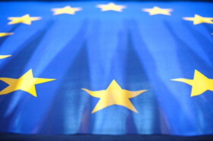 Festa Europa: Eurostat, video animazione sull'europeo medio