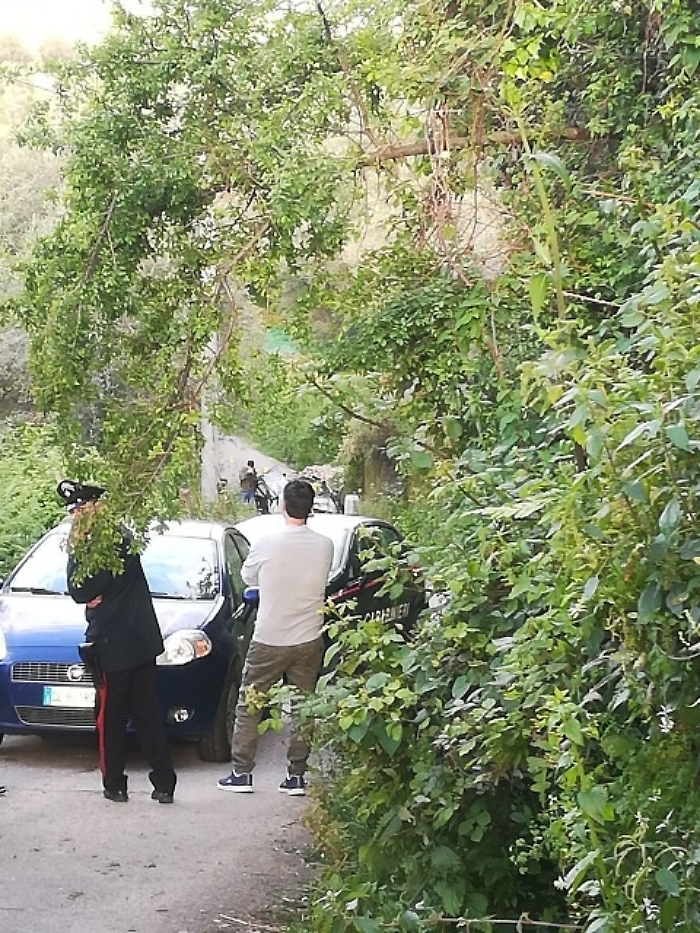 Ucciso da bomba in auto,eseguiti 6 fermi