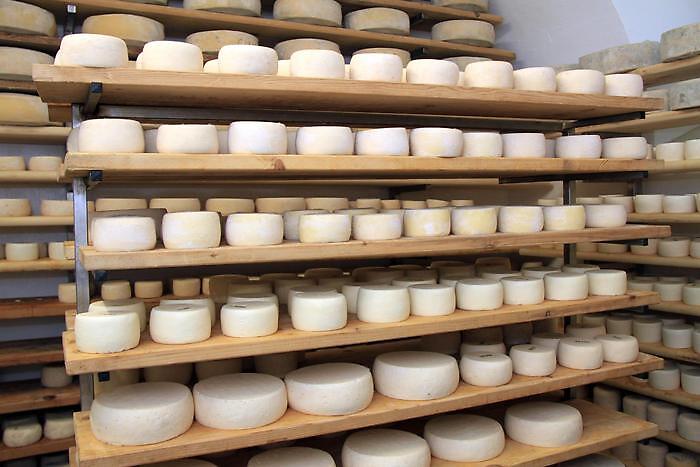 Ok Ue ad acquisizione Nuova Castelli da parte di Lactalis