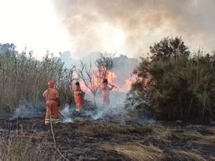 Incendio doloso nell'Oasi del Simeto: fiamme domate dopo 4 ore