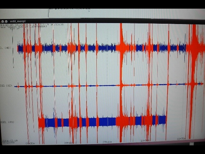 Terremoti: Russia, scossa 6.1 in mare