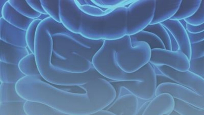 Malattie rare: intestino corto, una web serie per raccontare la sindrome