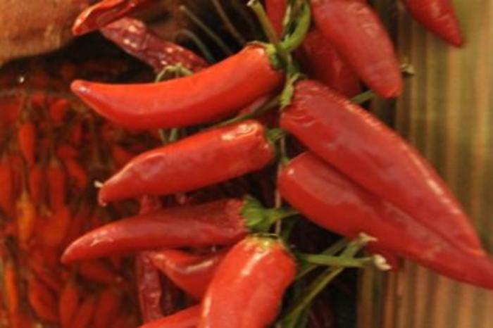 Chi mangia molto peperoncino pi&ugrave; a rischio demenza