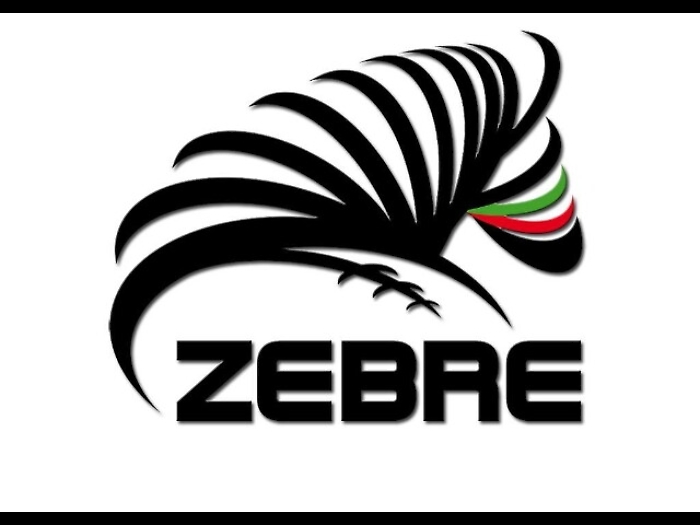 Rugby: Zebre travolte dal Leinster