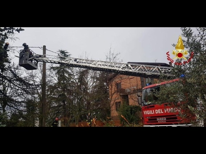 Alberi caduti,frana in collina Bolognese