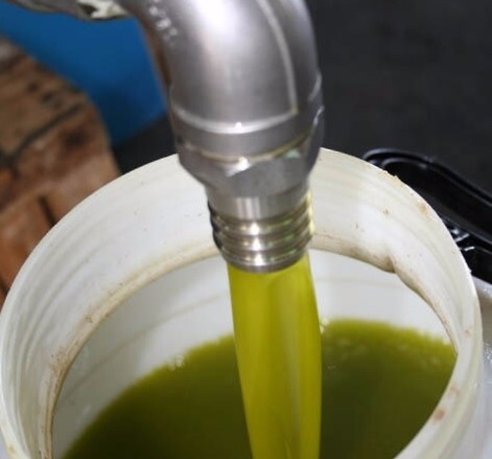 Palma di Montechiaro, scoperto olio d&rsquo;oliva &ldquo;taroccato&rdquo;