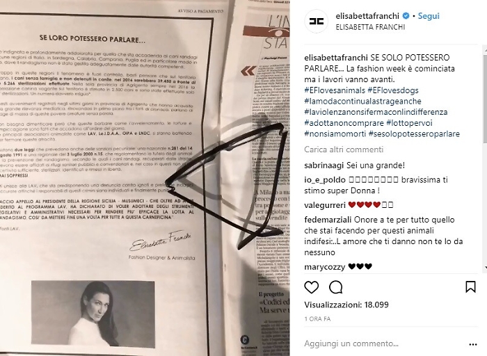 Elisabetta Franchi e la strage dei randagi a Sciacca: &laquo;Si trovino i colpevoli&raquo;