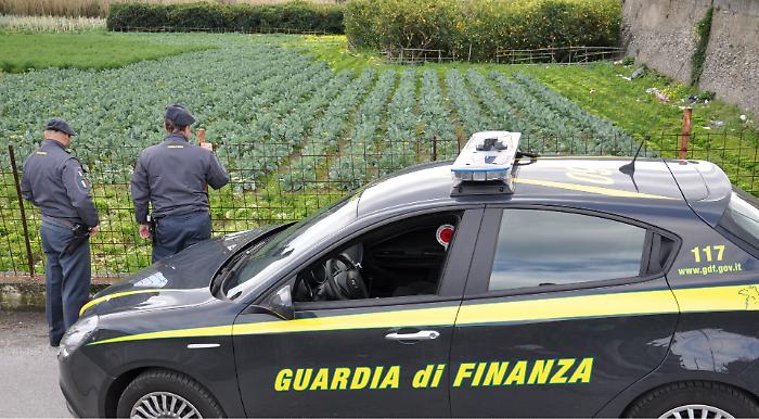 Barcellona, sequestrate 500 tonnellate di prodotti falsamente etichettati come &ldquo;bio&rdquo; 