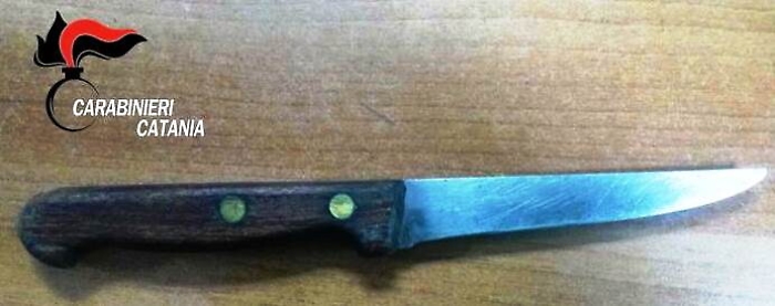 Minaccia madre con un coltello: pregiudicato in manette in via delle Olimpiadi