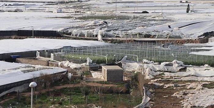 Vento, la Sicilia si lecca le ferite. Musumeci: &laquo;Colpo di grazia ad aziende agricole&raquo;