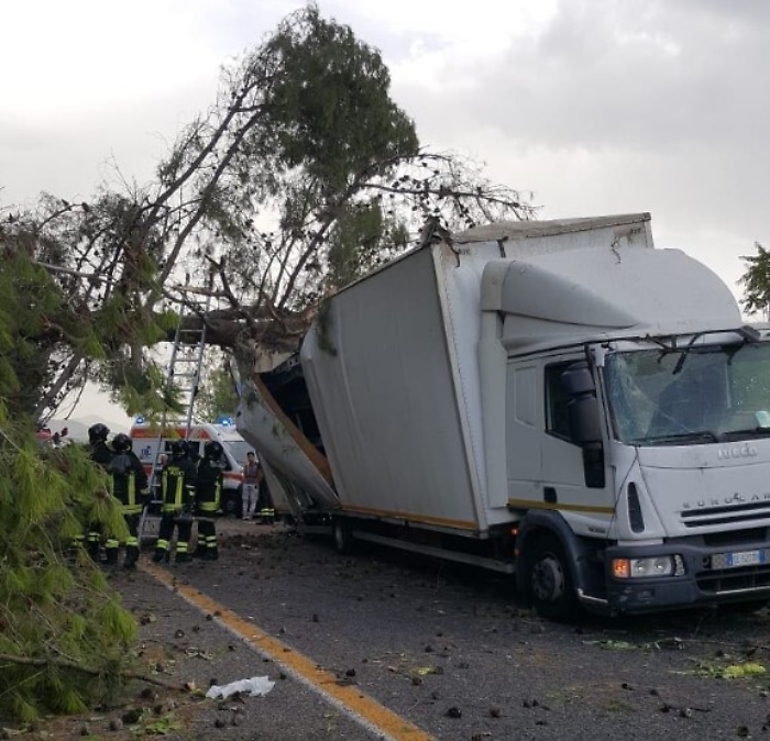 Albero cade su tetto di un camion per il forte vento: due feriti e traffico a rilento su A18