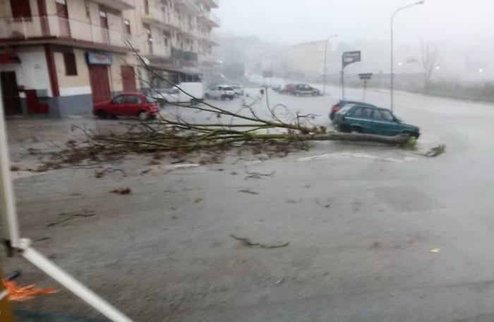 Treni fermi, alberi caduti, strade allagate:in Sicilia pioggia e vento come uno tsunami