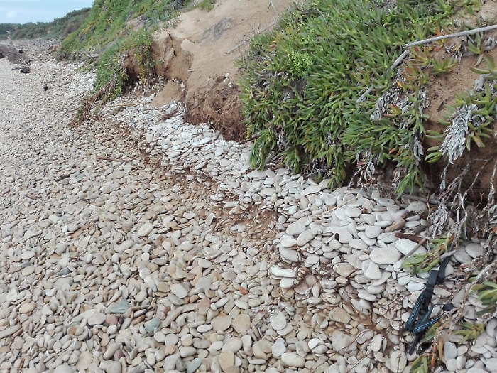 Ragusa, Riserva Naturale del Fiume Irminio: dune a rischio erosione