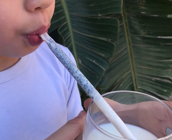 Ambiente, la prima ecocannuccia in Italia introdotta da storica azienda di Giarre 