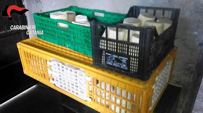 Pedara, l'allevatore vendeva formaggi e ricotta conservati in pessimo stato