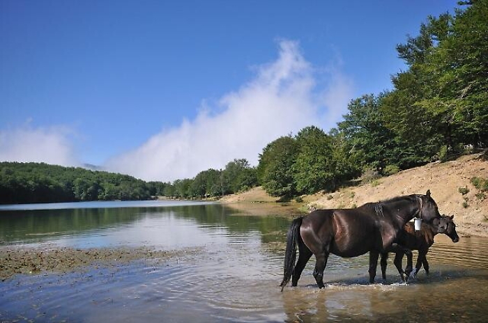 1554296080743_1618504980367-1