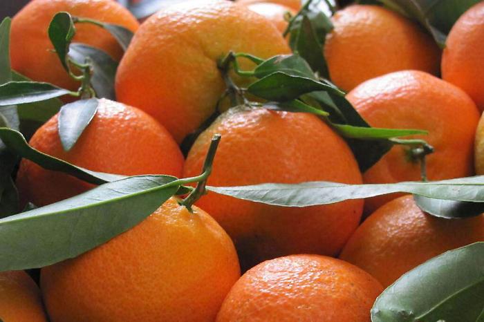 Arance dall'Egitto con pesticidi vietati: allarme del Consorzio siciliano