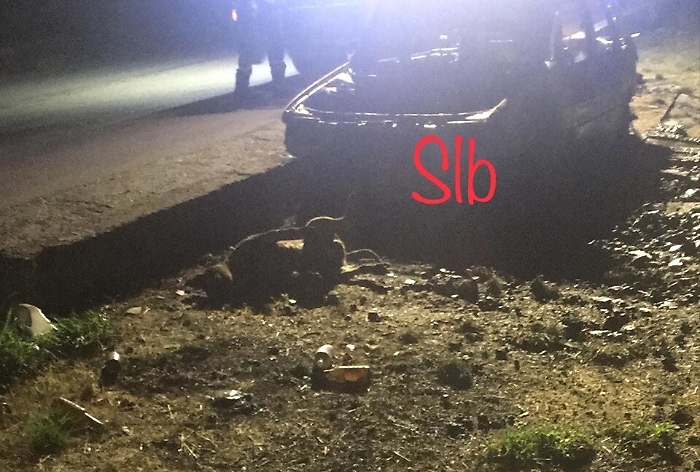 Orrore a Trabia: cane legato all'auto in fiamme muore bruciato vivo