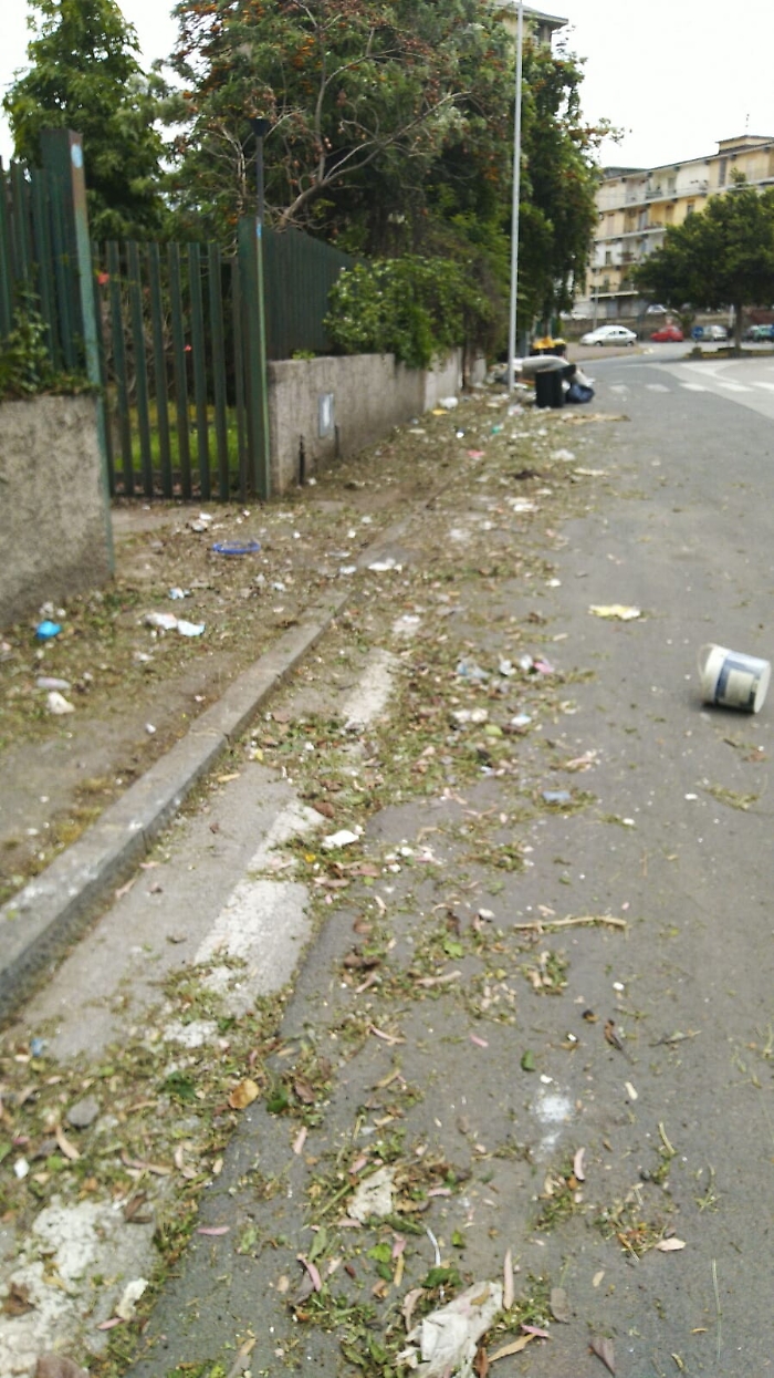 Catania: erbacce tagliate e lasciate per strada in Via Vigo