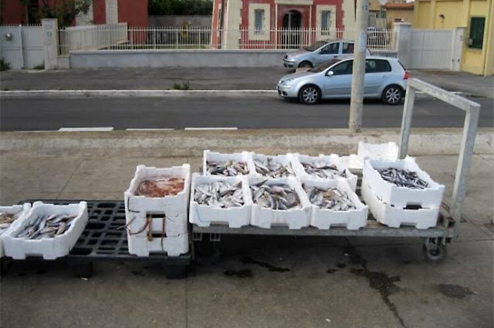 Due tn di pesce non tracciato sequestrato tra Catania e Siracusa
