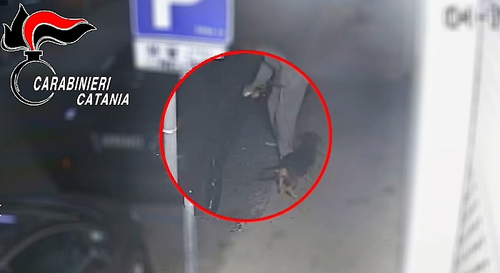 "Irrefrenabile desiderio di graffiare auto nuove": arrestato danneggiatore seriale