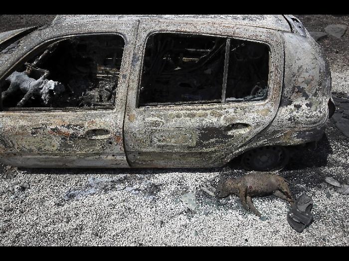 Grecia: bilancio incendi sale a 81 morti