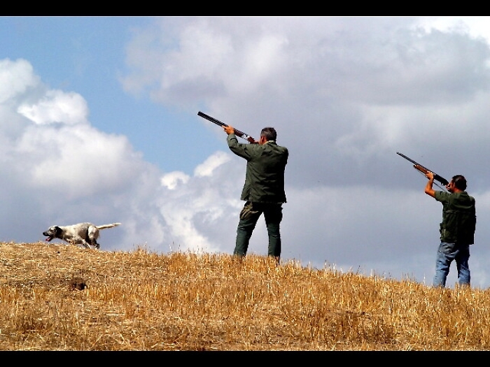 Rapine a cacciatori, 7 arresti dei Cc
