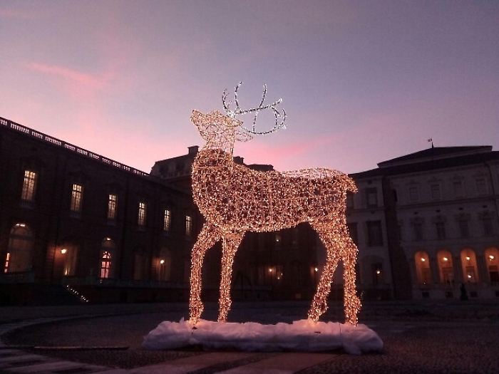 Reggia Venaria, stasera ad un euro