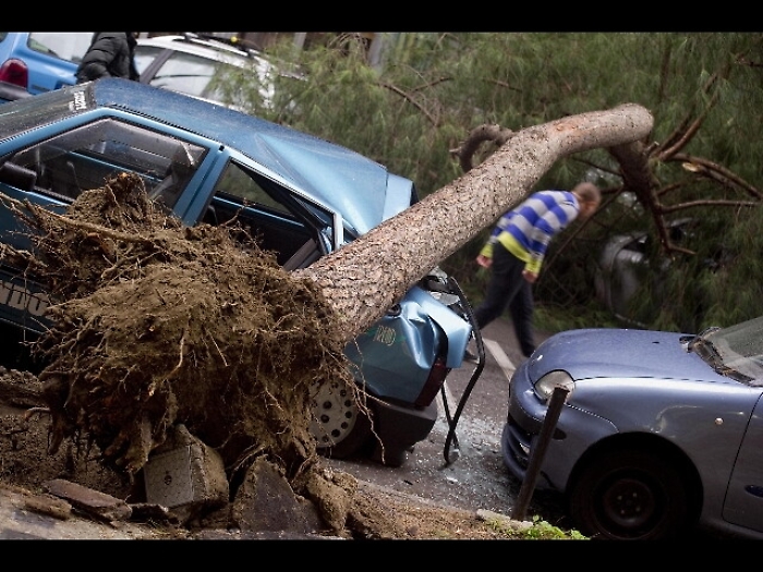 Albero cade a Napoli, un morto