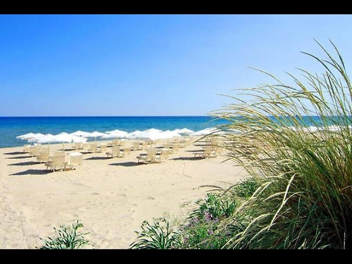 Bus vacanze minori senza assicurazione