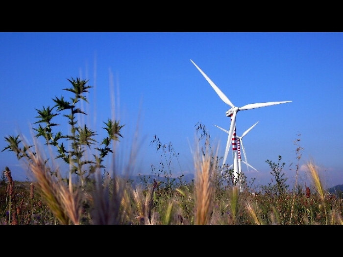 Attentati a parchi eolici,cinque arresti