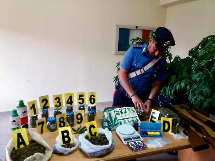 Aveva vademecum per coltivare cannabis