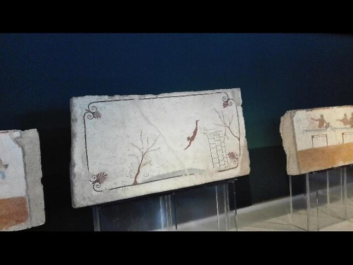 A Paestum torna il vino del Tuffatore