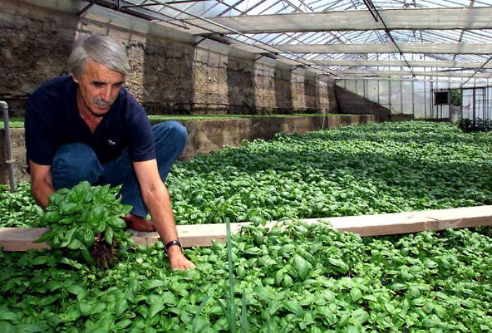 Agricoltura: Pac, plenaria Pe approva riforma Omnibus