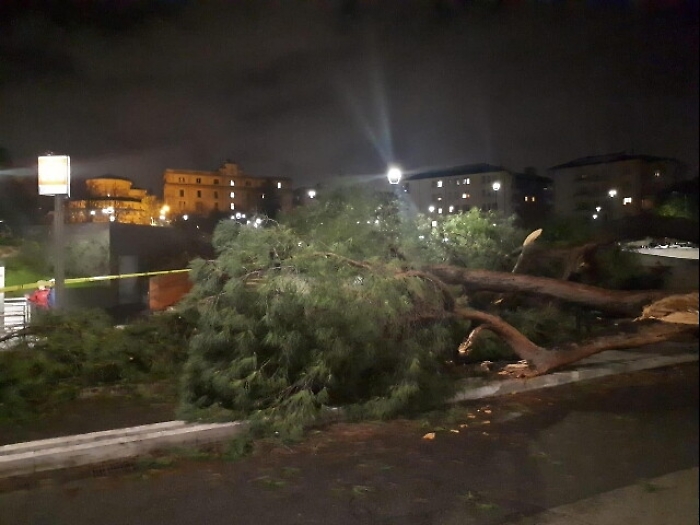 Maltempo, oltre 200 interventi a Roma